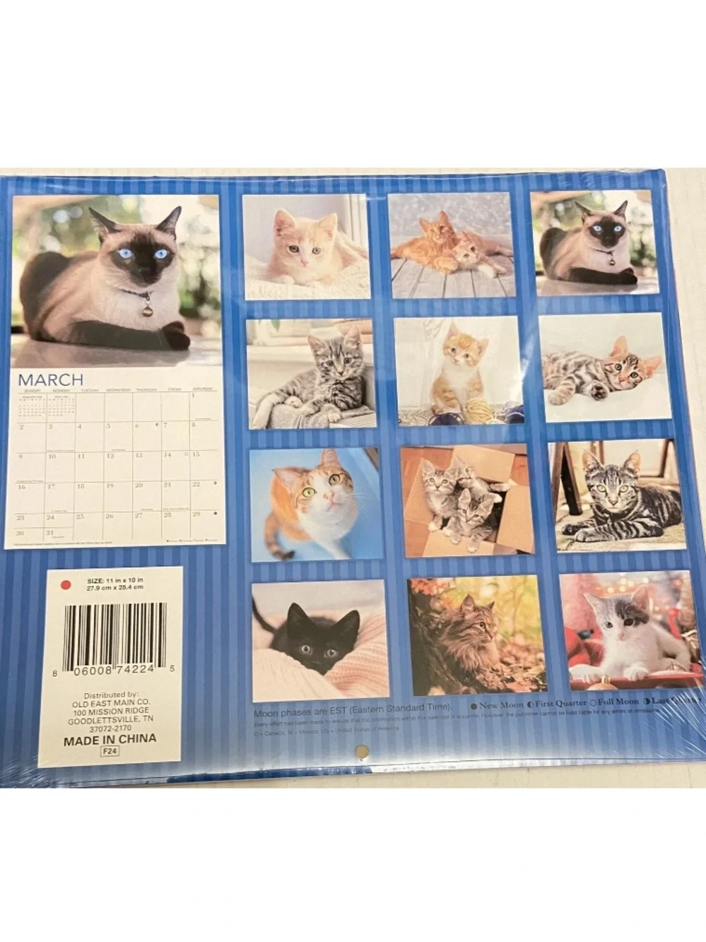 2025 Cats And Kittens 16 Month Calendar 11 x 10 Sealed New.